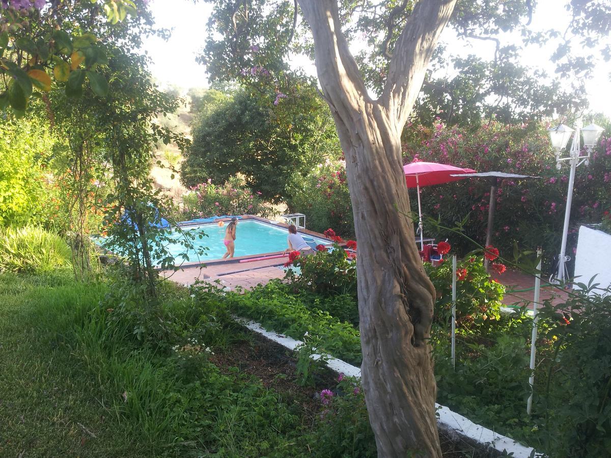 Finca La Carnicera Constantina Exteriér fotografie