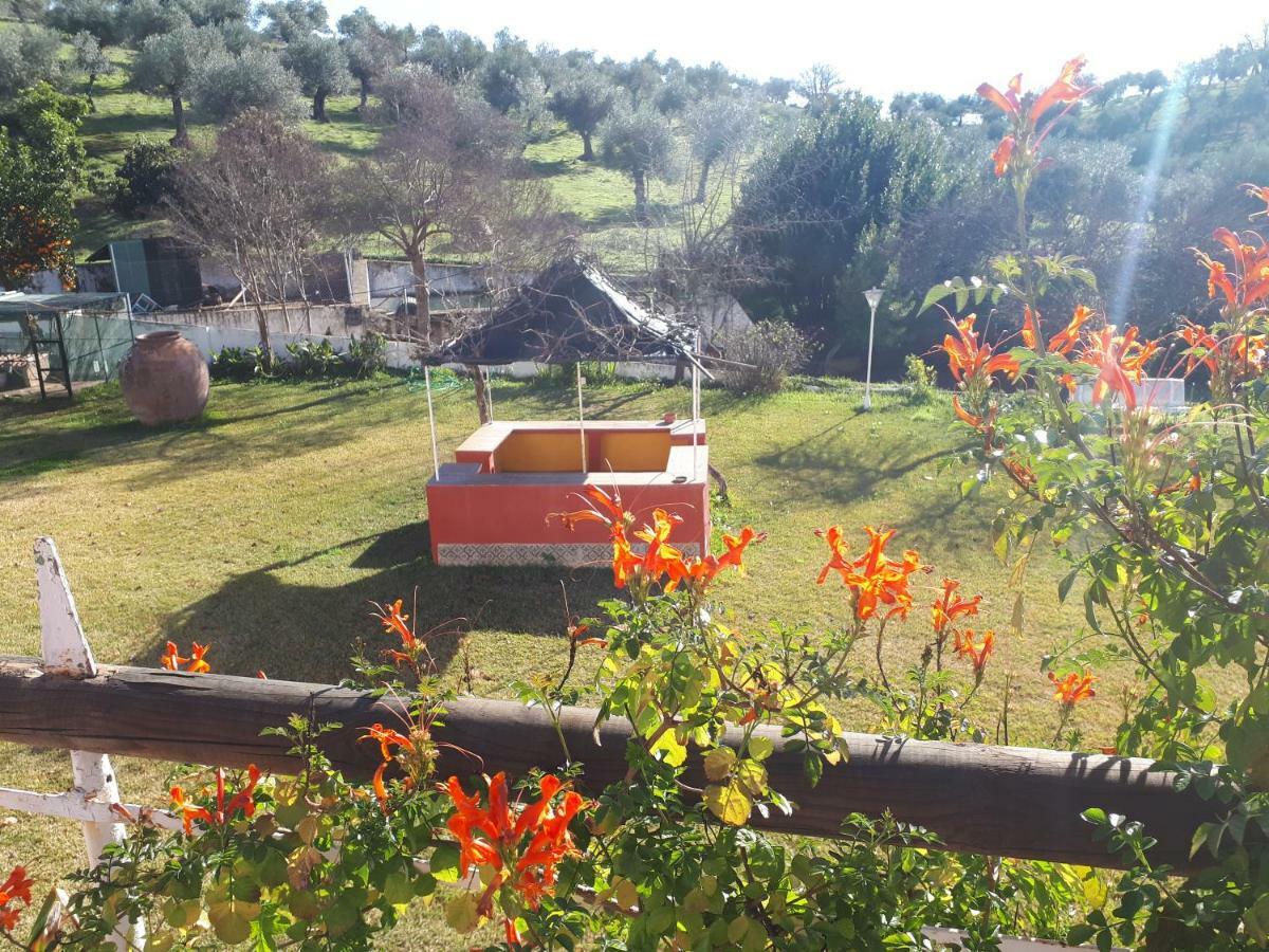 Finca La Carnicera Constantina Exteriér fotografie