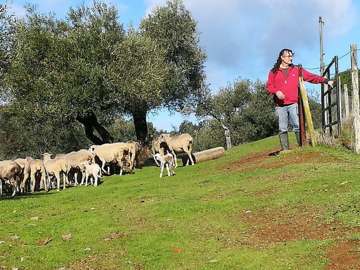 Finca La Carnicera Constantina Exteriér fotografie