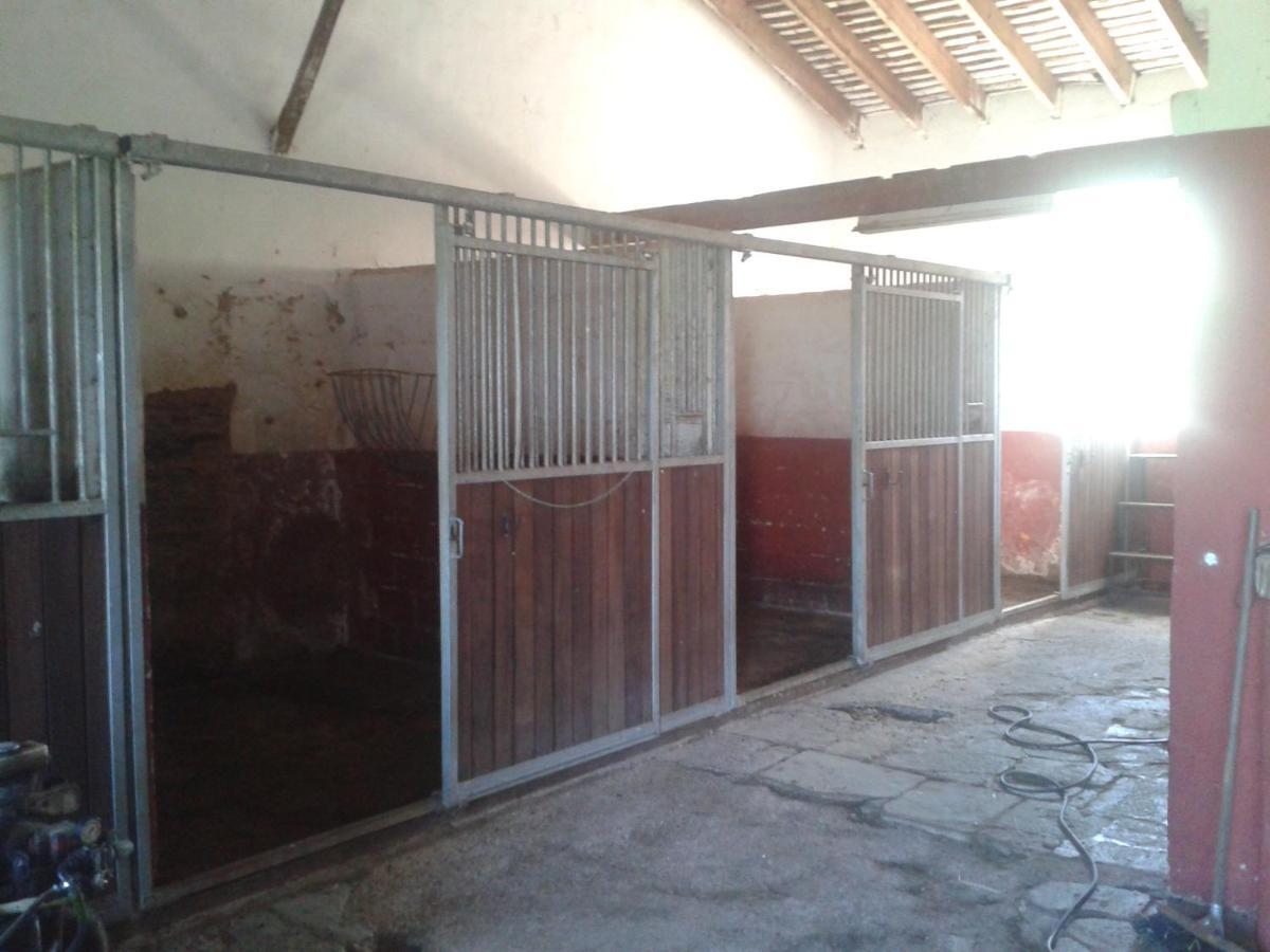 Finca La Carnicera Constantina Exteriér fotografie