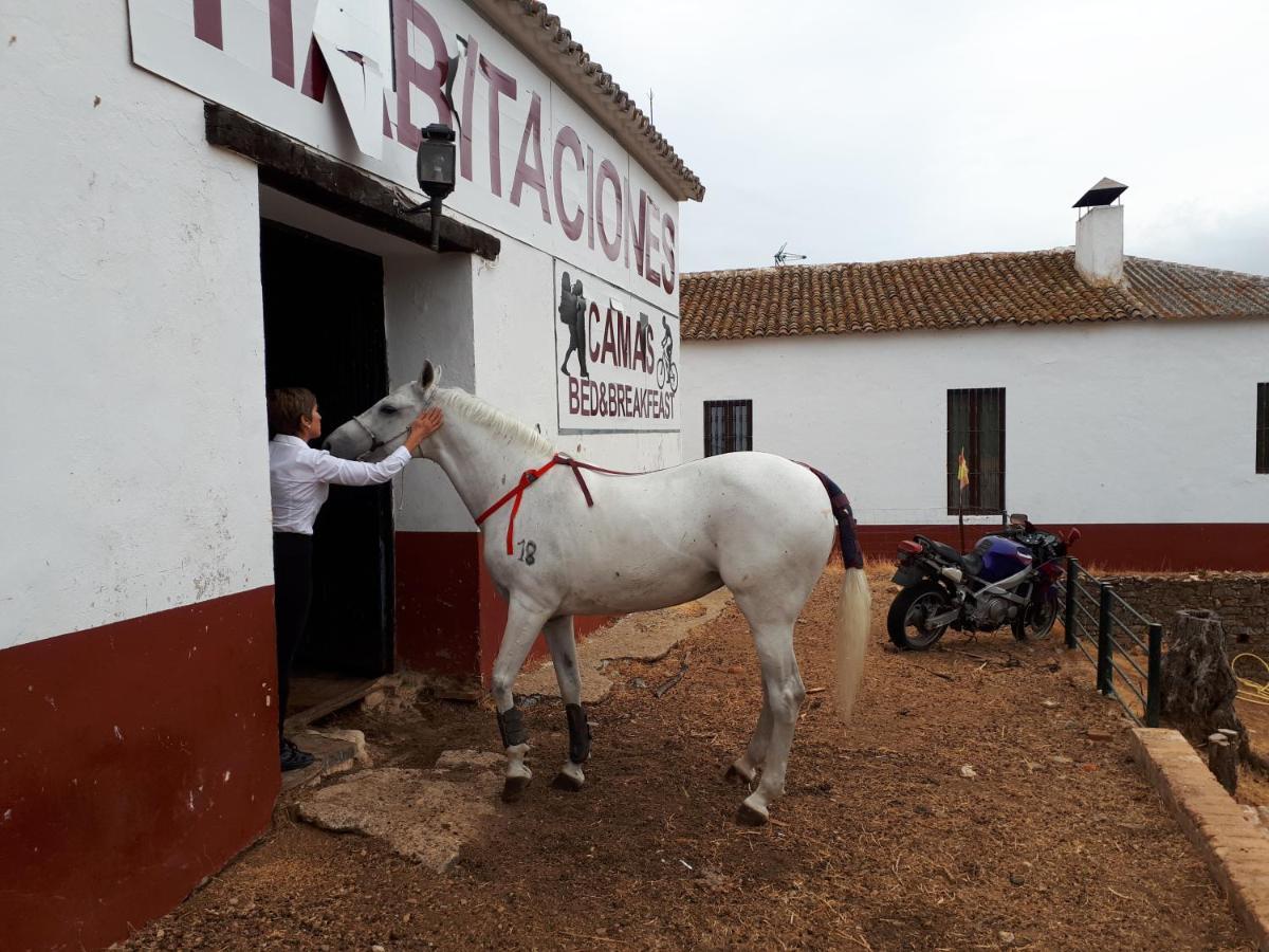 Finca La Carnicera Constantina Exteriér fotografie