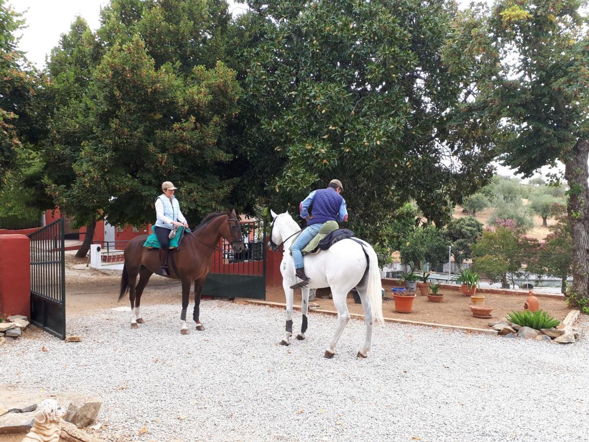 Finca La Carnicera Constantina Exteriér fotografie